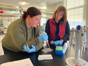 Stephanie Yarwood and her graduate student perform lab work with pipette