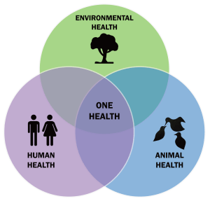 venn diagram representing one health