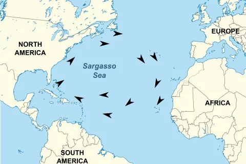 map identifying Sargasso Sea and water currents