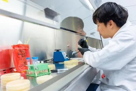 Student Nick An wearing a white lab coat and black gloves works inside a biosafety cabinet in a laboratory, holding a marker near petri dishes and test tubes.
