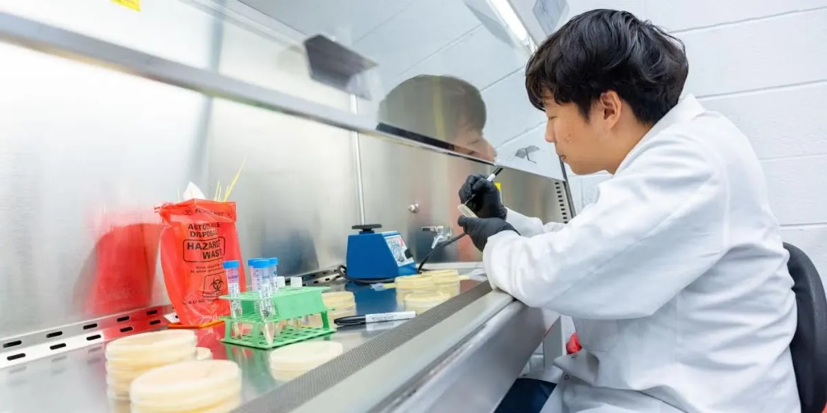 Student Nick An wearing a white lab coat and black gloves works inside a biosafety cabinet in a laboratory, holding a marker near petri dishes and test tubes.